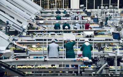 Líder de Planeación y Control de la Producción: qué demanda la industria para cubrir una posición crítica en el contexto actual