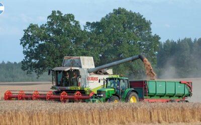 Agroindustria: principales retos y perfiles más demandados