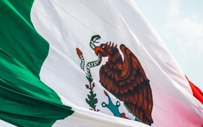 Mercado industrial mexicano: actualidad y desafíos