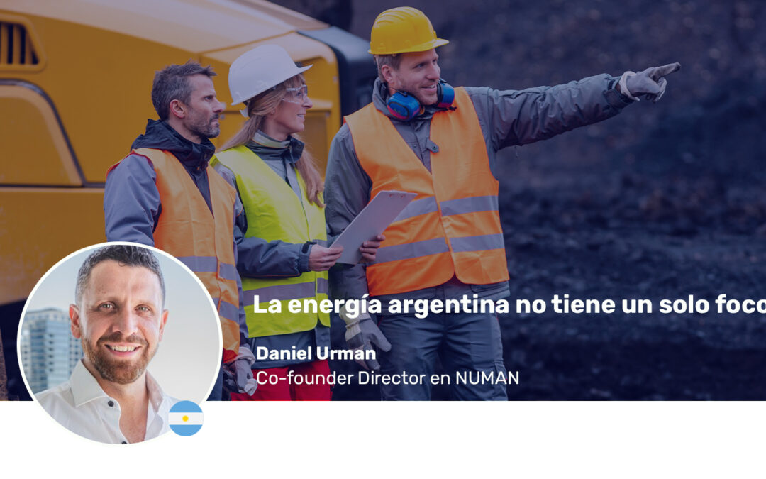 La energía argentina no tiene un solo foco